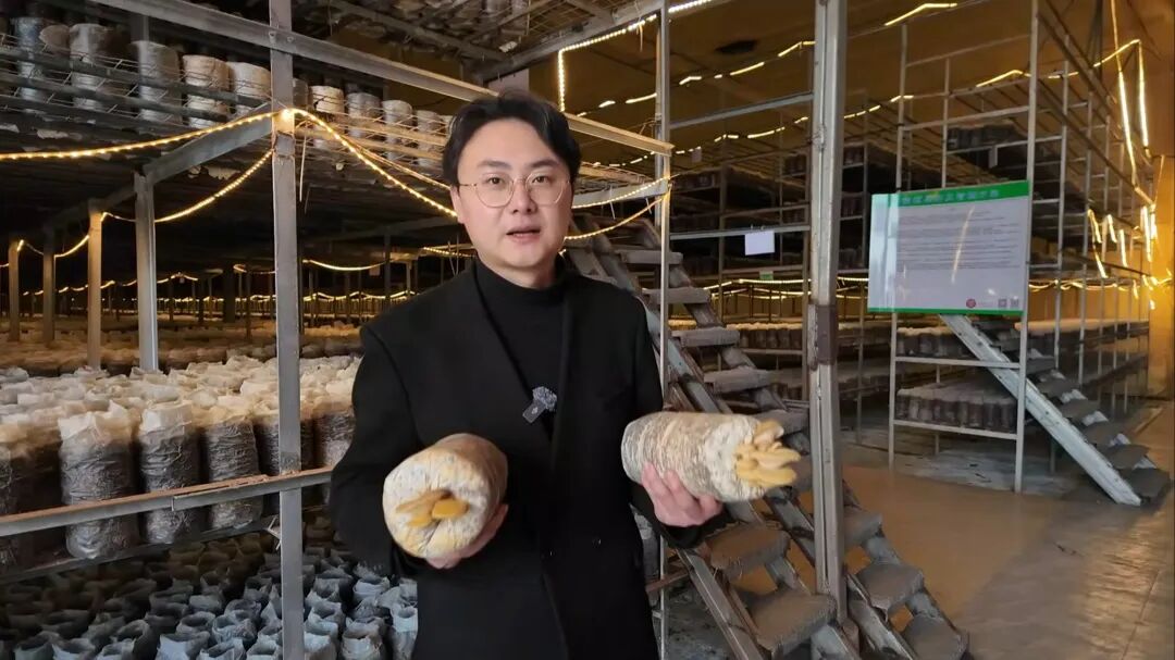 蘑菇爷1.jpg